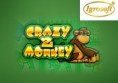 Crazy-Monkey