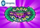 Cash Clams